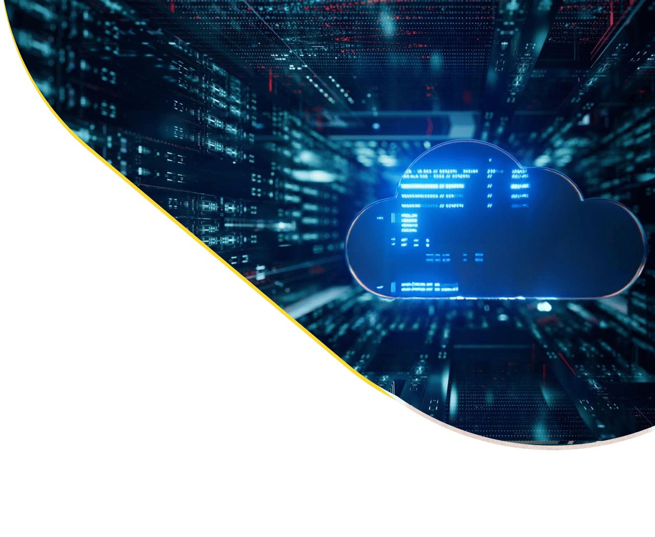 IT Infrastructure & Cloud Services. - DEVSEC LIMITED